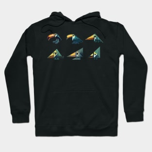 Toucan Stylized Triangular Arrangement Hoodie